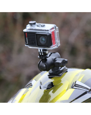 RAP-B-GOP2-A-GOP1