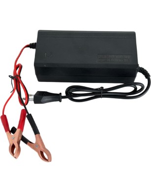 LiFePO4 SJY (12.8V, 100Ah) + charger 10A