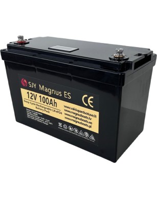 LiFePO4 SJY (12.8V, 100Ah) + зарядное устройство 10A