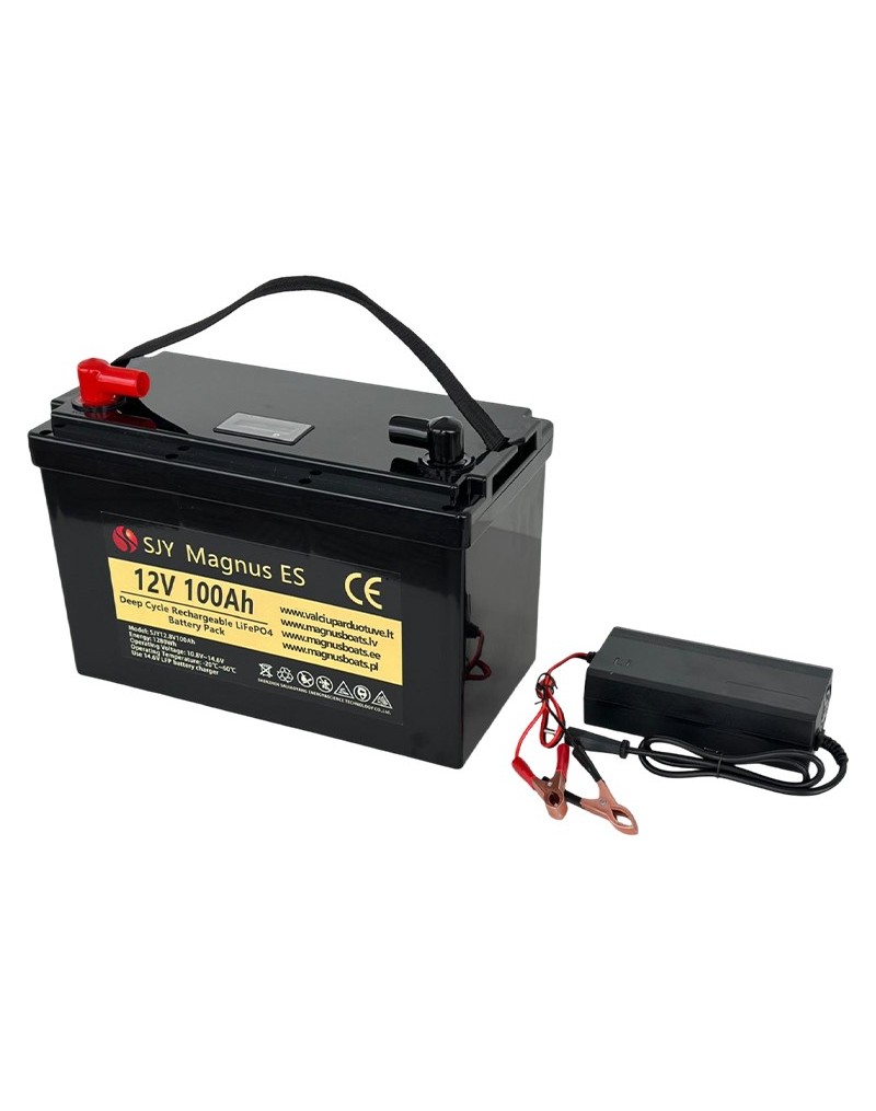LiFePO4 SJY (12.8V, 100Ah) + зарядное устройство 10A