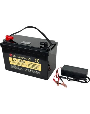 LiFePO4 SJY (12.8V, 100Ah) + зарядное устройство 10A