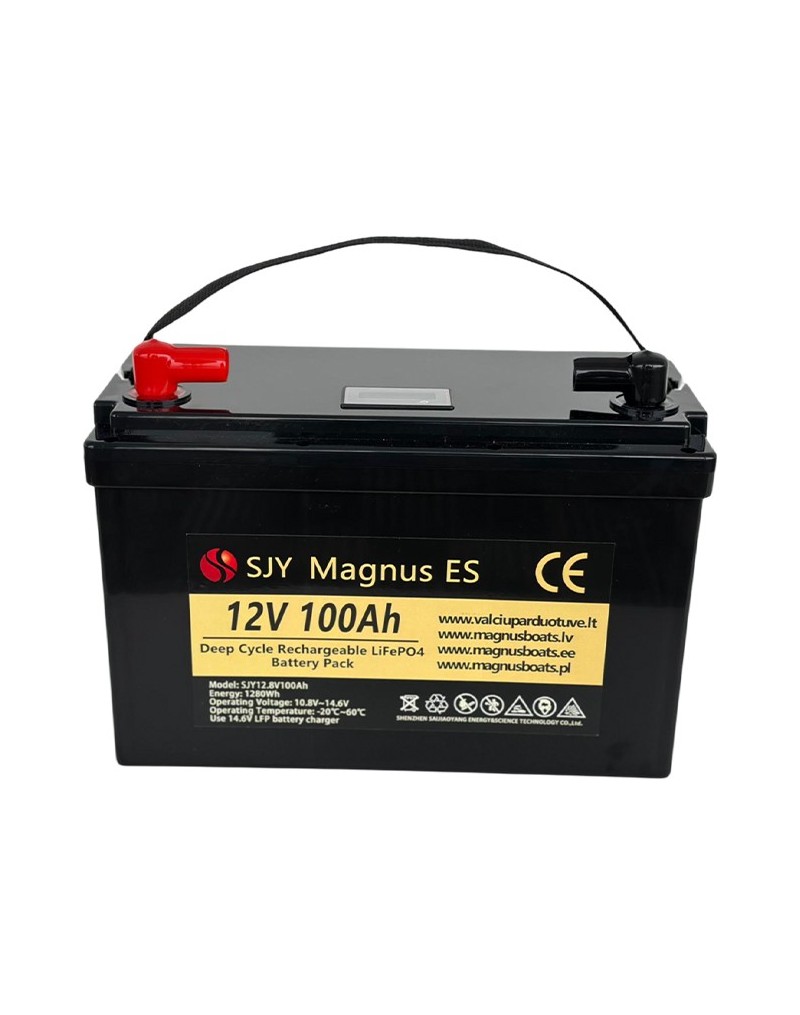 LiFePO4 SJY (12.8V, 100Ah) + laadija 10A