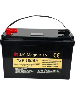 LiFePO4 SJY (12.8V, 100Ah) + зарядное устройство 10A