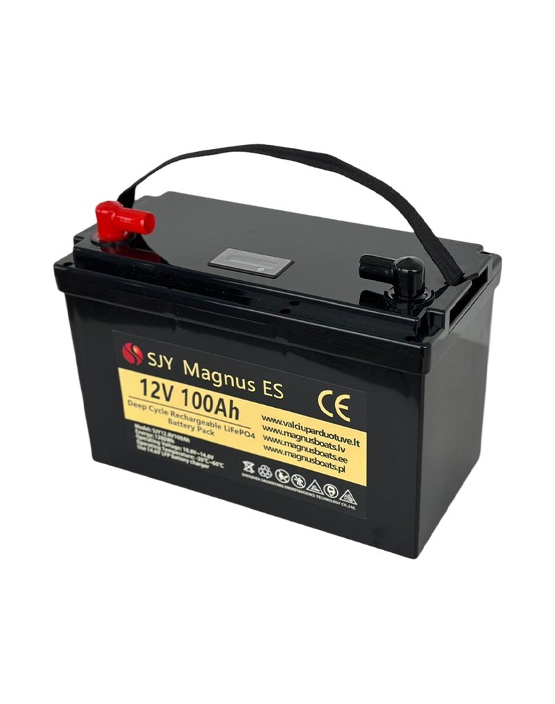 LiFePO4 SJY (12.8V, 100Ah) + charger 10A