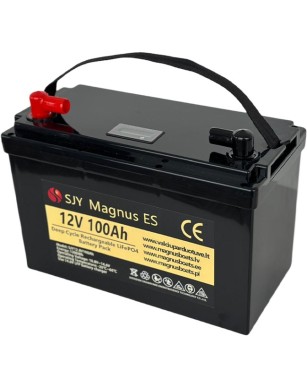 LiFePO4 SJY (12.8V, 100Ah) + laadija 10A