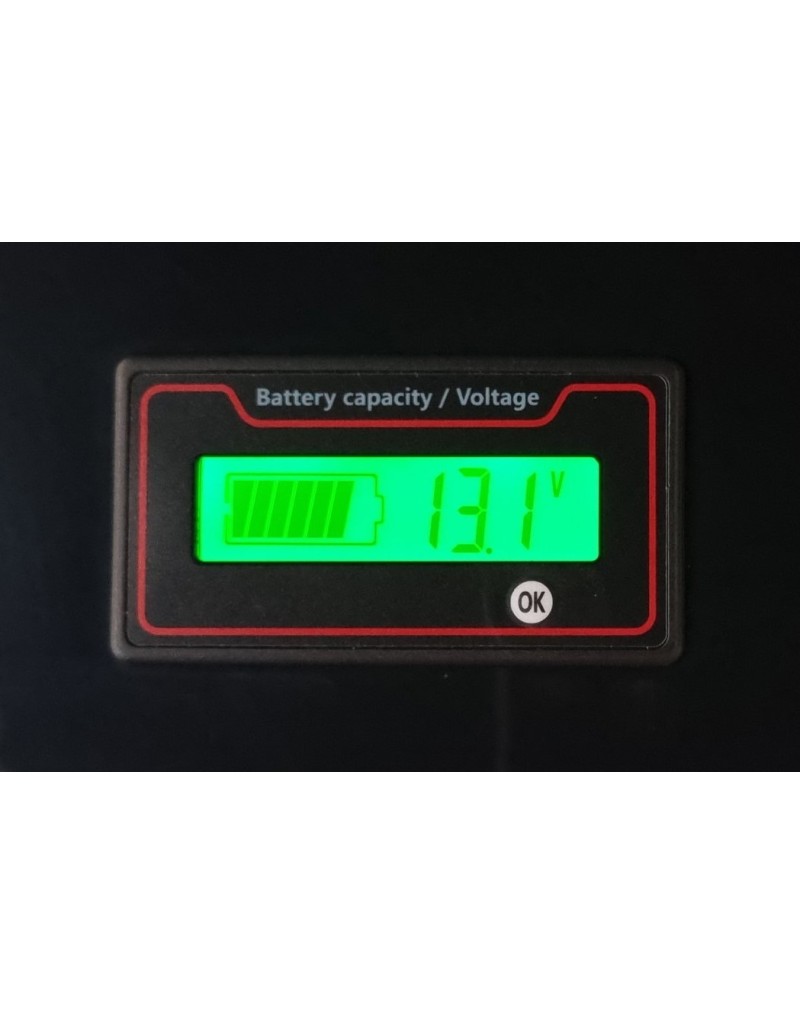 LiFePO4 SJY (12.8V, 100Ah) + charger 10A