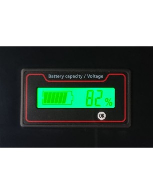 LiFePO4 SJY (12.8V, 100Ah) + зарядное устройство 10A