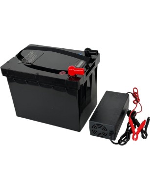LiFePO4 SJY (25.6V, 65Ah) + зарядное устройство 10A
