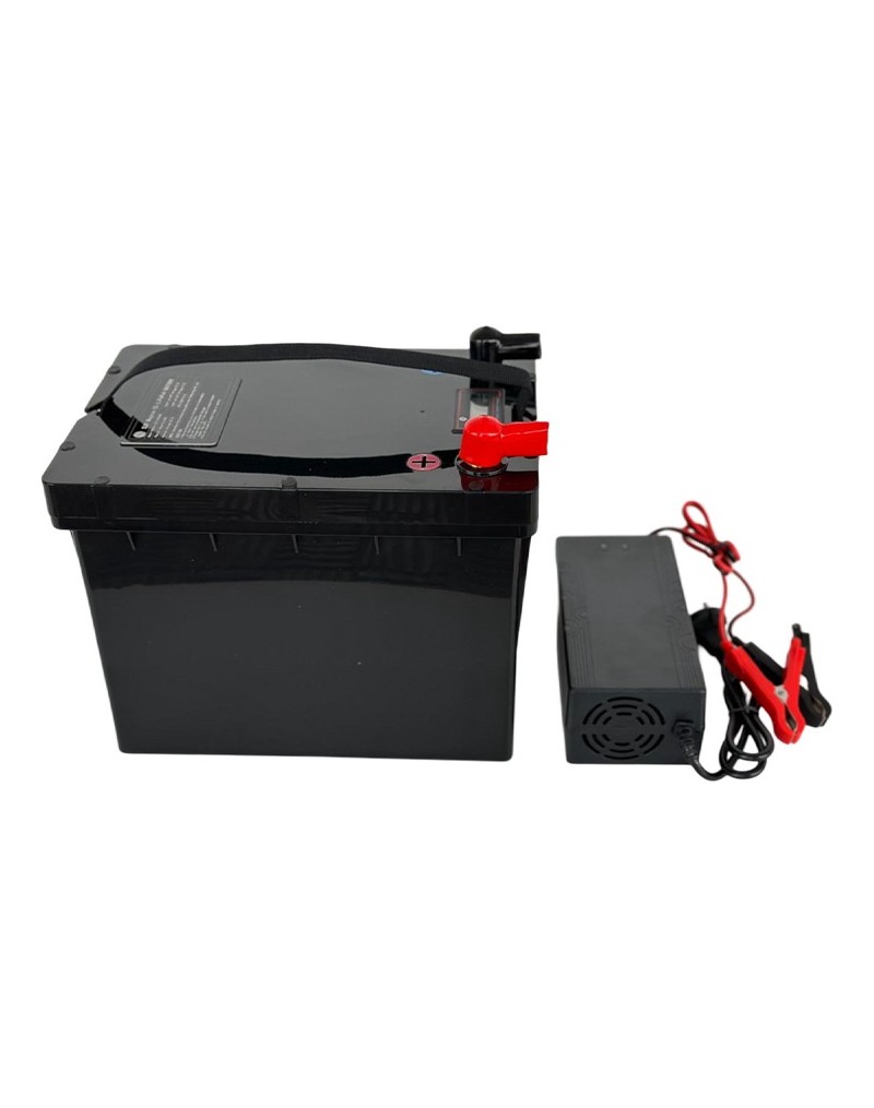 LiFePO4 SJY (25.6V, 65Ah) + laadija 10A