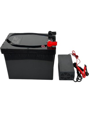 LiFePO4 SJY (25.6V, 65Ah) + laadija 10A