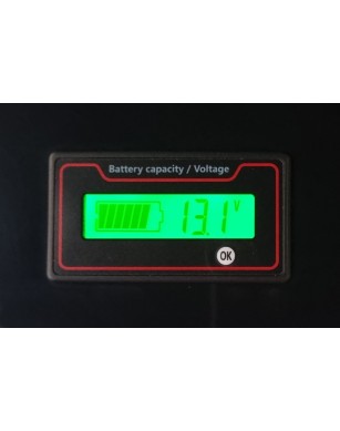 LiFePO4 SJY (25.6V, 65Ah) + laadija 10A
