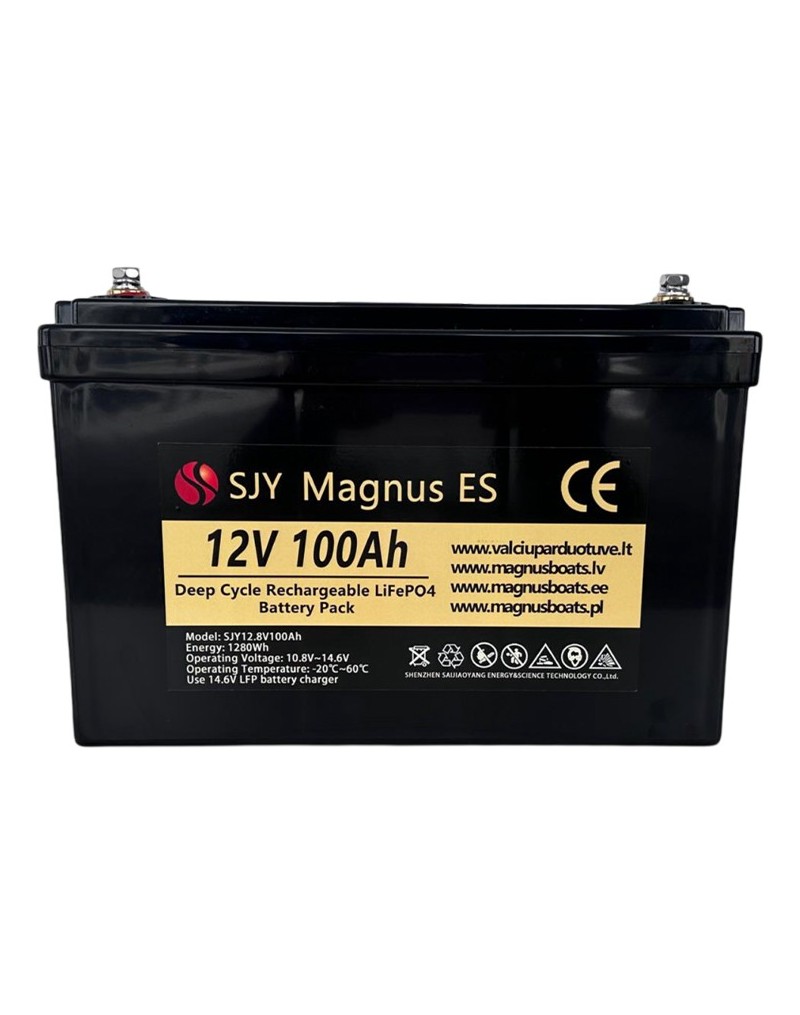 LiFePO4 SJY (12.8V, 100Ah)