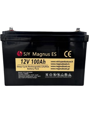 LiFePO4 SJY (12.8V, 100Ah)
